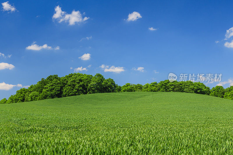 全景春天景观xxxxl38mpix -绿色的田野，蓝色的天空